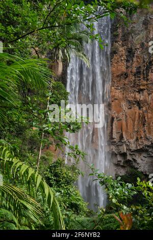 Una cascata si tuffa in una scogliera con lussureggianti alberi verdi in primo piano Foto Stock
