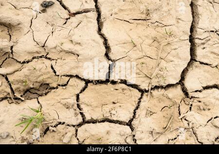 Terreno asciutto, terreno fangoso fessurato, fango essiccato con crepe, vista piana dall'alto, sfondo astratto naturale Foto Stock