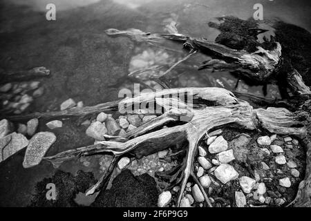 Loch Mullardoch, Highlands scozzesi Foto Stock