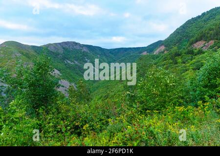 Paesaggio (vicino a Cap Rouge) lungo la Cabot Trail, in Cape Breton Island, Nova Scotia, Canada Foto Stock