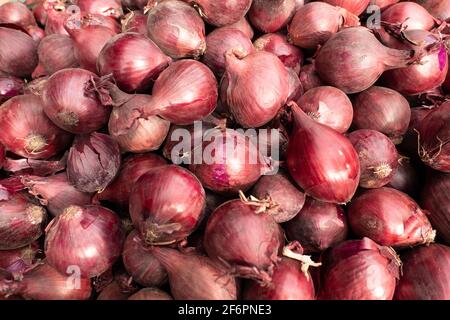 Bulbi freschi di cipolle rosse di colore brillante in esposizione per la vendita in un mercato pubblico. L'ingrediente è comune in molte cucine e cucine asiatiche. Foto Stock