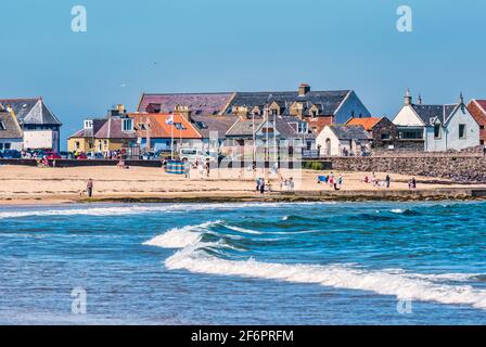 Vista sulla spiaggia di Milsey Bay East in estate, a nord di Berwick, a est di Lothian, Scozia, Regno Unito Foto Stock