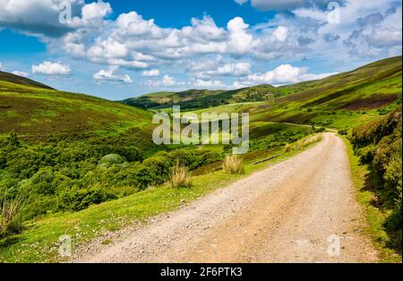 Pista sterrata che scende lungo la valle, Lammermuir Hills, East Lothian, Scozia, Regno Unito Foto Stock