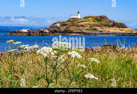 Fidra Isola e Stevenson faro in via di via su soleggiate giornate estive, visto da John Muir modo, East Lothian, Scozia, Regno Unito Foto Stock