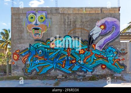 Street Art in Messico - una parete decorata con graffiti, con parole stilizzate e un fenicottero viola Foto Stock