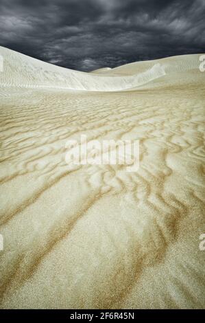 Cactus Beach sabbia duna sotto una tempesta in avvicinamento. Foto Stock