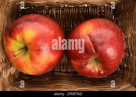 Due saporite mele rosse, fresche e mature, Jonathan, primo piano, in un cesto di vimini. Foto Stock