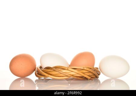 Quattro uova di pollo fresche e biologiche, bianche e beige, con una corona di ramoscelli su sfondo bianco. Foto Stock