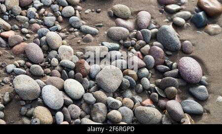 Pietre lisce sulla sabbia marrone della spiaggia Foto Stock