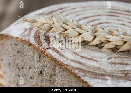 Pane fatto in casa su lievito di segala. Pane dietetico con semi di lino. Il concetto di una dieta sana Foto Stock
