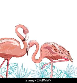 Flamingo bird illustration design sullo sfondo Illustrazione Vettoriale