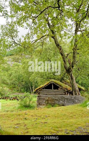 Casa tradizionale scandinava con tetto verde - antiche tradizioni edilizie Nel Parco Nazionale di Jostedalsbreen - Norvegia Foto Stock