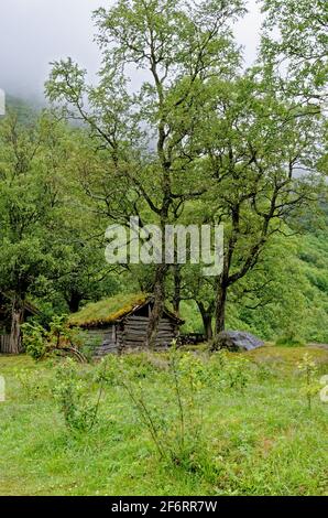 Casa tradizionale scandinava con tetto verde - antiche tradizioni edilizie Nel Parco Nazionale di Jostedalsbreen - Norvegia Foto Stock