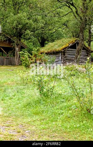 Casa tradizionale scandinava con tetto verde - antiche tradizioni edilizie Nel Parco Nazionale di Jostedalsbreen - Norvegia Foto Stock