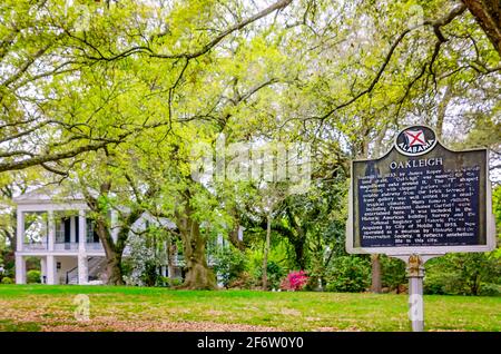 La storica Oakleigh Mansion è raffigurata, il 30 marzo 2021, a Mobile, Alabama. Oakleigh, costruito nel 1833, è una casa museo storica. Foto Stock