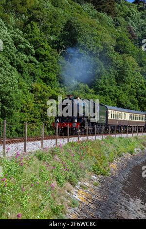 Inghilterra, Devon, GWR locomotiva a vapore n° 6024 "Re Edoardo i" con partenza da Kingswear in direzione del Torbay Express.