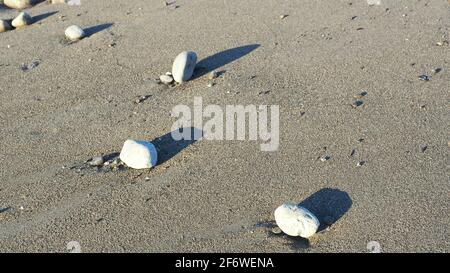 Pietre sparse sulla spiaggia di te Horo gettano ombre nel tardo pomeriggio, costa ovest della Nuova Zelanda Foto Stock