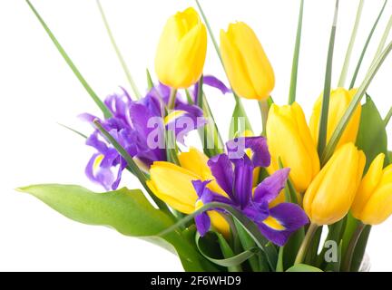Tulipani gialli e iridi viola in un vaso su un sfondo beige Foto Stock