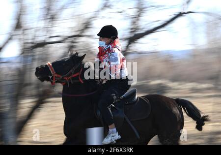 (210403) -- BURQIN, 3 aprile 2021 (Xinhua) -- Parasat Zhumabek, un allievo di grado senventesimo della scuola di imbarco di Oymak, cavalca un cavallo durante una classe equestre nella contea di Burqin, regione autonoma di Xinjiang Uygur, 30 marzo 2021. La gente nella regione autonoma di Xinjiang Uygur ha una tradizione di allevamento di cavalli e di equitazione. La scuola di imbarco di Oymak ha cominciato ad offrire le classi equestri alla fine del 2019. Gli studenti, la maggior parte dei quali provengono da famiglie di pastori, imparano sia la conoscenza teorica che la pratica di equitazione sulle classi equestri. Dopo le lezioni, gli studenti si rafforzano fisicamente e amano Foto Stock