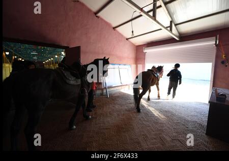 (210403) -- BURQIN, 3 aprile 2021 (Xinhua) -- gli studenti della Oymak Boarding School guidano i cavalli durante una classe equestre nella contea di Burqin, nella regione autonoma di Xinjiang Uygur della Cina nord-occidentale, 30 marzo 2021. La gente nella regione autonoma di Xinjiang Uygur ha una tradizione di allevamento di cavalli e di equitazione. La scuola di imbarco di Oymak ha cominciato ad offrire le classi equestri alla fine del 2019. Gli studenti, la maggior parte dei quali provengono da famiglie di pastori, imparano sia la conoscenza teorica che la pratica di equitazione sulle classi equestri. Dopo le lezioni, gli studenti si rafforzano fisicamente e amano la vita e la natura più t Foto Stock