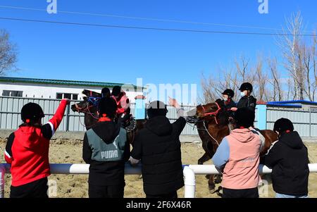 (210403) -- BURQIN, 3 aprile 2021 (Xinhua) -- gli studenti della Oymak Boarding School frequentano una classe equestre nella contea di Burqin, nella regione autonoma di Xinjiang Uygur nella Cina nord-occidentale, 30 marzo 2021. La gente a Xinjiang ha una tradizione di allevamento di cavalli e di equitazione. La scuola di imbarco di Oymak ha cominciato ad offrire le classi equestri alla fine del 2019. Gli studenti, la maggior parte dei quali provengono da famiglie di pastori, imparano sia la conoscenza teorica che la pratica di equitazione sulle classi equestri. Dopo le lezioni, gli studenti si rafforzano fisicamente e amano la vita e la natura più attraverso i contatti intimi con i cavalli. (X Foto Stock