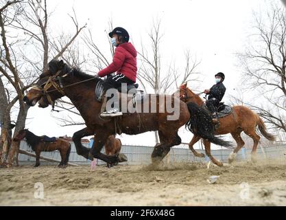 (210403) -- BURQIN, 3 aprile 2021 (Xinhua) -- gli studenti della scuola di imbarco di Oymak praticano l'equitazione durante una classe equestre nella contea di Burqin, nella regione autonoma di Xinjiang Uygur, nel nord-ovest della Cina, 29 marzo 2021. La gente nella regione autonoma di Xinjiang Uygur ha una tradizione di allevamento di cavalli e di equitazione. La scuola di imbarco di Oymak ha cominciato ad offrire le classi equestri alla fine del 2019. Gli studenti, la maggior parte dei quali provengono da famiglie di pastori, imparano sia la conoscenza teorica che la pratica di equitazione sulle classi equestri. Dopo le lezioni, gli studenti si rafforzano fisicamente e amano la vita e la natura più t Foto Stock