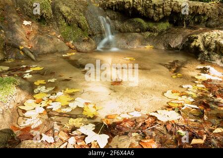 Particolare del piccolo ruscello di montagna in erei Beusnita Nazionale Parcheggio Foto Stock