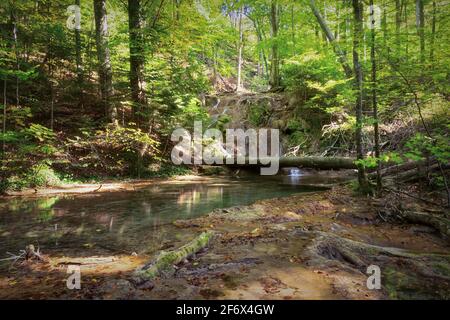 Torrente di montagna nel Parco Nazionale di Cheile Nerei Beusnita, Romania Foto Stock