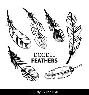 Set di piume Doodle isolato su sfondo bianco. Foto Stock