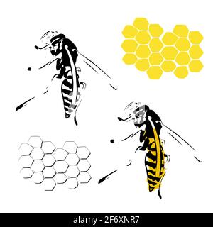 Illustrazione a nido d'ape WASP giallo nero isolato su sfondo bianco Illustrazione Vettoriale