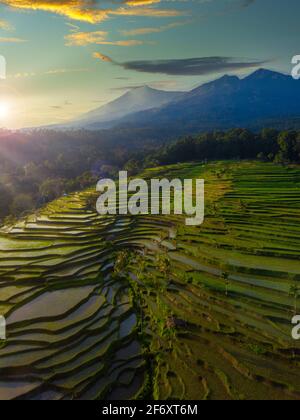 Vista aerea dei campi di riso tropicali allagati nel paesaggio rurale, Mandalika, Lombok, Nusa Tenggara occidentale, Indonesia Foto Stock