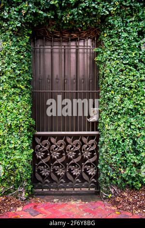 Cancello nero di ferro battuto circondato il mio verde sulla porta della casa a Savannah, Georgia Foto Stock