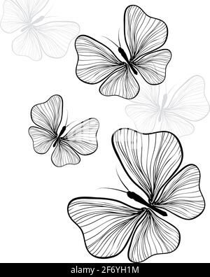 Cartolina con bella butterflie monocromatica. Farfalla nera dalle linee . Illustrazione vettoriale Illustrazione Vettoriale