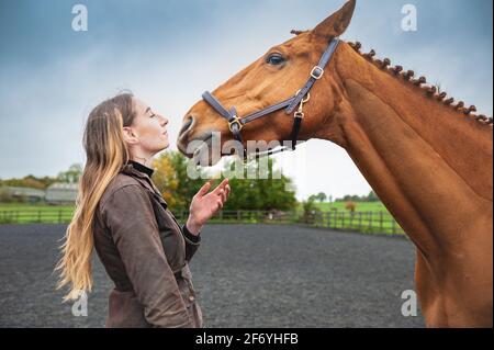 Ragazza naso al naso con cavallo Foto Stock