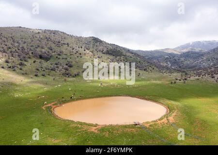 Cavalli e bestiame al pascolo da uno stagno naturale in una valle, vista aerea. Foto Stock
