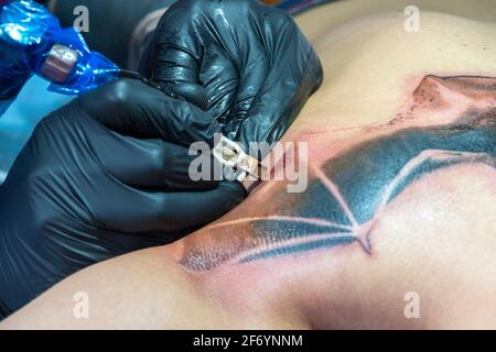 Mani di un artista tatuaggio in guanti blu di stirile che tengono un attrezzo e disegnano un tatuaggio dell'ala del pipistrello con l'inchiostro, primo piano. Foto Stock