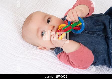 bambina di 4 mesi, che tiene e mouthing giocattolo, guardando spettatore Foto Stock