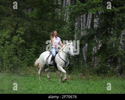 Modello equestre ragazza equitazione bianco cavallo andaluso nella foresta estiva Foto Stock