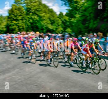 Il peleton principale del Tour de France, che corre attraverso la campagna del Kent nel 2007. Foto Stock