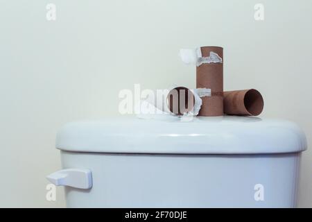 Centro di un rotolo di carta igienica senza carta su un sfondo bianco con spazio per la copia Foto Stock