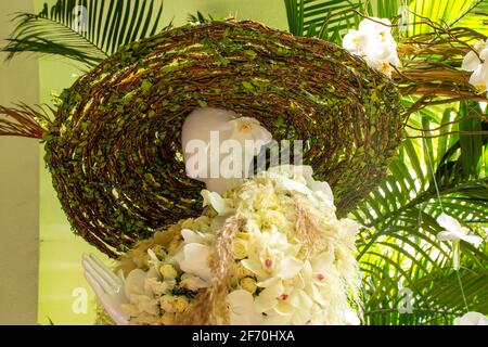 elegante manichino decorando il giardino vestito di orchidee bianche e. foglie verdi che accolgono la primavera Foto Stock