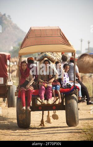 I turisti domestici indiani che cavalcano su un carrello di cammello alla fiera del cammello di Pushkar, Rajasthan, India Foto Stock