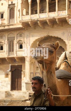 Uomo indiano con il cammello, Mandawa, Shekawati regione, Rajasthan in India Foto Stock