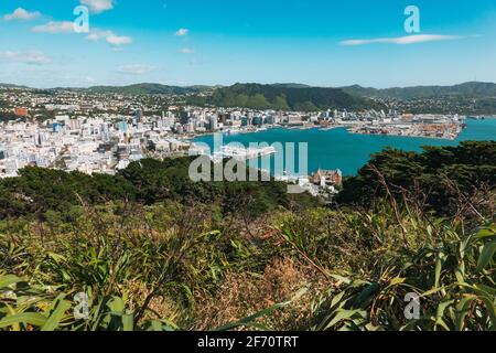 Wellington, la capitale della Nuova Zelanda, in una buona giornata, vista dal Monte Victoria Lookout Foto Stock