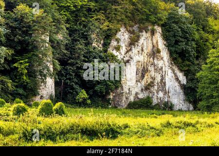 Vista panoramica della valle del torrente Pradnik con la montagna calcarea jurassic Rocce di Cracovia-Czestochowa upland in Ojcow in Polonia minore Foto Stock