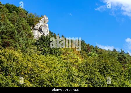 Vista panoramica della valle del torrente Pradnik con la montagna calcarea jurassic Rocce di Cracovia-Czestochowa upland in Ojcow in Polonia minore Foto Stock