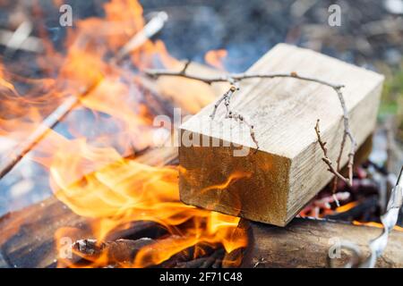 L'albero sta bruciando nel fuoco. Picnic all'aperto. Preparazione per friggere la carne Foto Stock