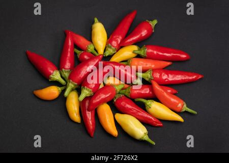 un mix colorato di peperoncini freschi e più caldi. Foto Stock