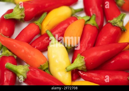 un mix colorato di peperoncini freschi e più caldi. Foto Stock