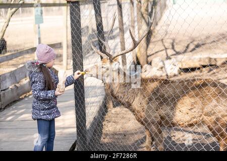 Bella bambina abbracciando animale ROE cervi al sole, proteggendo un animale Foto Stock